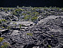 dscn8553.jpg