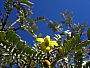 dscn8561.jpg
