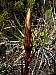 dscn8576.jpg