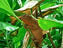 dscn8608.jpg