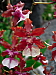 dscn8627.jpg