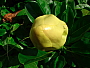 dscn8628.jpg