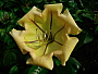 dscn8629.jpg
