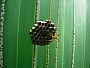 dscn8641.jpg