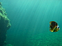 dscn8666.jpg