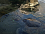 dscn8682.jpg