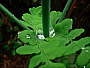 dscn8756.jpg