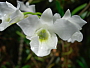 dscn8768.jpg