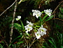 dscn8774.jpg