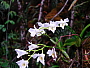 dscn8788.jpg