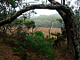 dscn8797.jpg