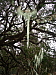 dscn8803.jpg
