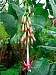 dscn8812.jpg