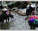 dscn4776.jpg