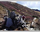 Pour agrandir cliquer sur la vignette dscn4809.jpg