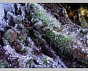Pour agrandir cliquer sur la vignette dscn4927.jpg