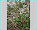 Pour agrandir cliquer sur la vignette dscn1219.jpg