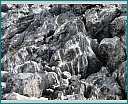 dscn1281.jpg