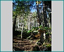 dscn1285.jpg