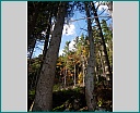 dscn1286.jpg