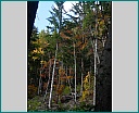 dscn1287.jpg