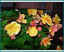 dscn1291.jpg