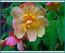 dscn1292.jpg