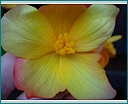 dscn1294.jpg