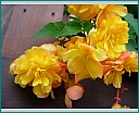 dscn1295.jpg