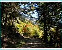 cliquer pour voir les photos Photo
