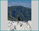Pour agrandir cliquer sur la vignette dscn1249.jpg