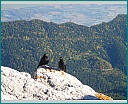 Pour agrandir cliquer sur la vignette dscn1251.jpg