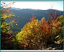 Pour agrandir cliquer sur la vignette dscn1255.jpg