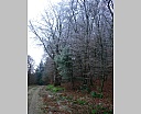 dscn2164.jpg