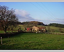 dscn2170.jpg