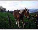 dscn2174.jpg