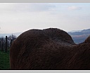 dscn2175.jpg