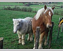 dscn2176.jpg