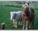 dscn2177.jpg