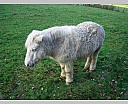 dscn2178.jpg