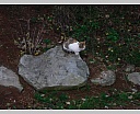 dscn2180.jpg