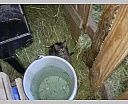 dscn2183.jpg