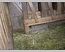 dscn2184.jpg
