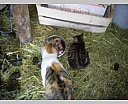 dscn2185.jpg