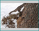 Pour agrandir cliquer sur la vignette dscn0317.jpg