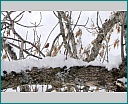 Pour agrandir cliquer sur la vignette dscn0318.jpg