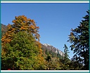 dscn1260.jpg