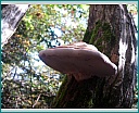 dscn1264.jpg