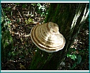 dscn1265.jpg