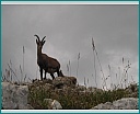 Pour agrandir cliquer sur la vignette dscn1104.jpg